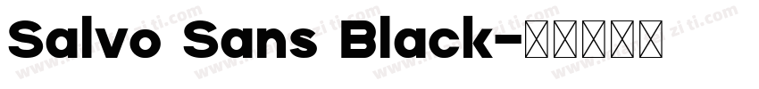 Salvo Sans Black字体转换